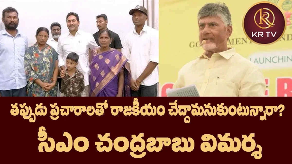తప్పుడు ప్రచారాలతో రాజకీయం చేద్దామనుకుంటున్నారా?: సీఎం చంద్రబాబు విమర్శ